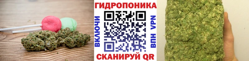 Cannafood конопля  Купить  Красный Кут 