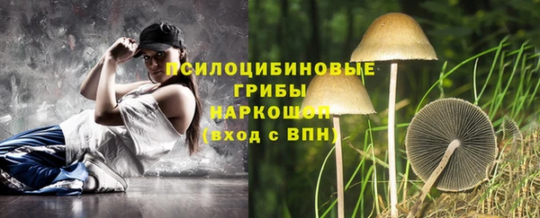 ГАЛЛЮЦИНОГЕННЫЕ ГРИБЫ Лабытнанги