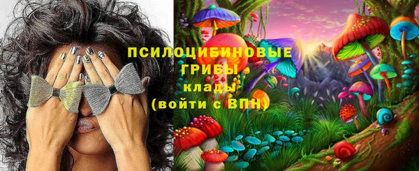 jwh Ладушкин