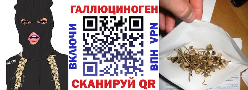 Псилоцибиновые грибы Magic Shrooms  Купить  Красный Кут 